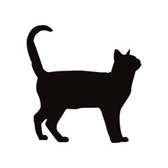 cat icon black cat icon 