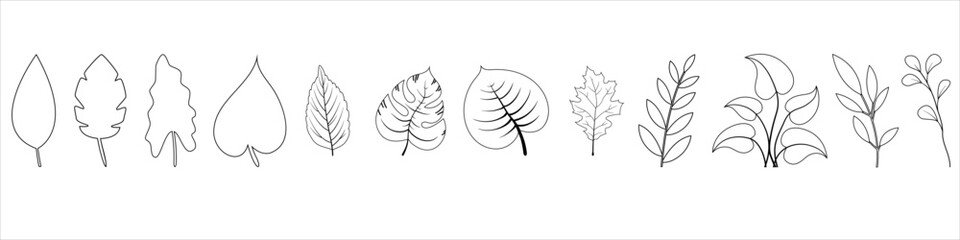 Leaves icon vector. Plants illustration sign collection. Trees symbol or logo.