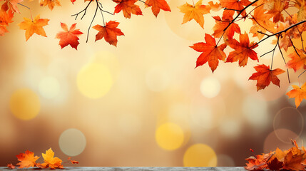 Naklejka na ściany i meble Autumn colorful bright leaves swinging in a tree