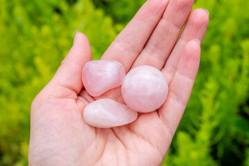 Natural rose quartz minerals in hand. Semi-precious multi-colored stones, minerals close-up....