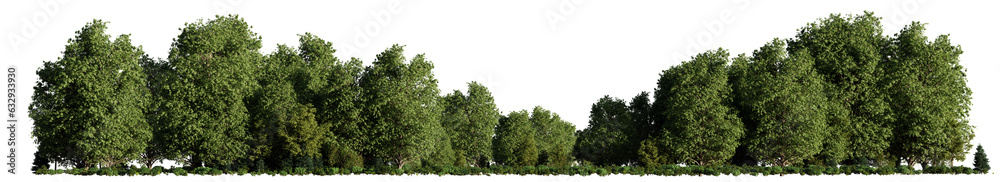 Wall mural forest landscape with lush green trees and shrubs, isolated on transparent background