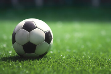 Fototapeta premium Soccer ball on green field