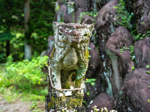 Komainu Bilder Durchsuchen 11,468 Archivfotos, und