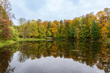 colourful trees in the park pond in autumn