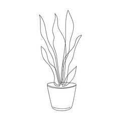 Minimal botanical illustration vector. Line continuous house plant in pot. Outline drawing. Hand drawn linear icon. Leaves silhouette. Graphic design, print, banner, card, poster, logo, sign, symbol.