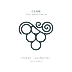 Grape bunch. A hand-drawn grape vector simple illustration. Grape abstract vintage style outline drawing. Part of set.