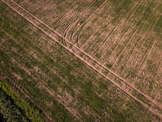 Tractor tracks in a field. Aerial view