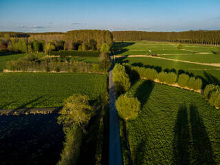 Agriculture Fields in East Flanders, Belgium. Aerial View