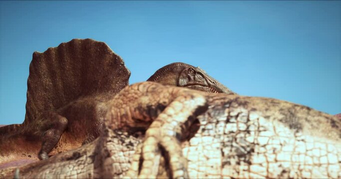 Spinosaurus dinosaurus hunts. A dinosaur in search of prey.