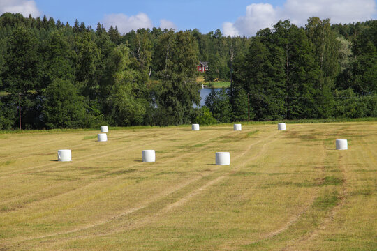 Agriculture, hay harvest in Lohja region, Finland