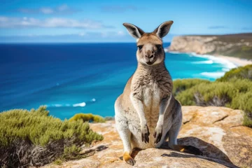 Gordijnen Kangaroo Island in Australia travel picture © 4kclips