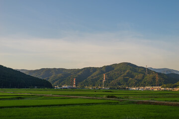 Fototapeta premium Countryside view at dusk, rice fields