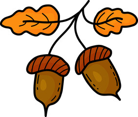  Autumn branch with acorns