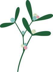 Mistletoe branch with berry. Evergreen plant