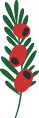 Evergreen yew branch with red berry