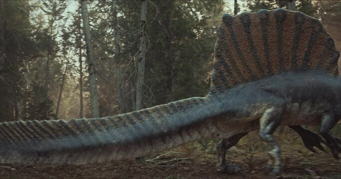 Spinosaurus dinosaurus hunts. A dinosaur in search of prey.
