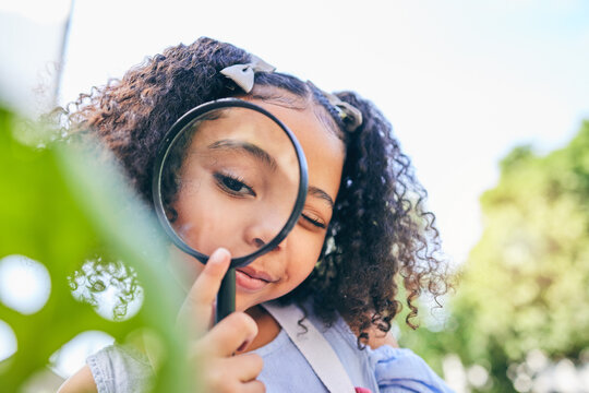 Girl Child, Magnifying Glass And Leaves In Garden, Backyard Or Park In Science, Study Or Outdoor. Young Female Kid, Lens And Zoom For Nature, Research Or Check For Plant, Ecology Or Growth In Summer