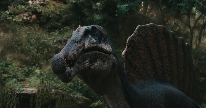 Spinosaurus dinosaurus hunts. A dinosaur in search of prey.