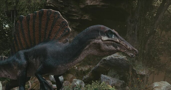 Spinosaurus dinosaurus hunts. A dinosaur in search of prey.