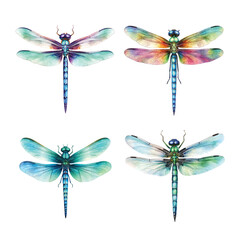  Set of dragonfly insect watercolor paint ilustration - obrazy, fototapety, plakaty