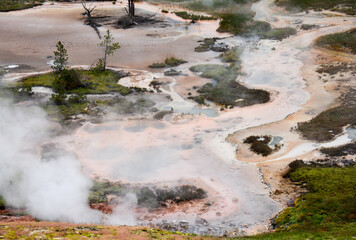 Artists Paintpots