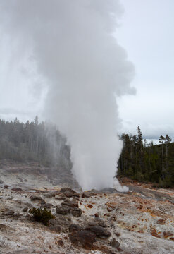 Steamboat geyser qui vient juste de cracher devant moi (quelque fois par an seulement en activit&eacute;)