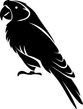 recommend clip art: Parrot. Black silhouette of a parrot bird isolated on a white background. Vector illustration