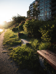 夕焼けのベンチ
