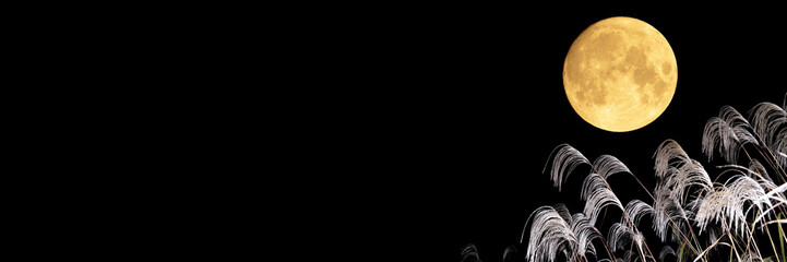 お月見。中秋の名月とススキ。秋のコンセプトバナー。