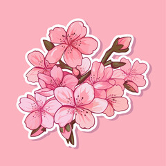 Sakura blossom branch with flower. Cherry sakura branch isolated white background. flower blooming. vector pink sakura flower background