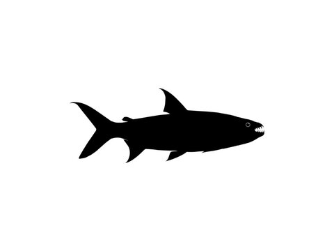 recommend clip art: Silhouette of the Hydrocynus goliath, also known as the goliath tigerfish, giant tigerfish, or mbenga, is a very large African predatory freshwater fish of the family Alestidae. Vector Illustration