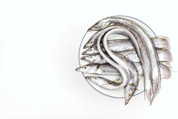 Ribbonfish, lepidopus caudatus, komira, saber fish, belt fish ikan layur, cutlassfish, tachiuo,hairtail fish, silver eel, seafood, on a white table, top view, background, free space, place for text - obrazy, fototapety, plakaty