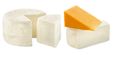 composição com pedaços de queijos minas fresco e queijo tipo cheddar isolado em fundo trasnparente