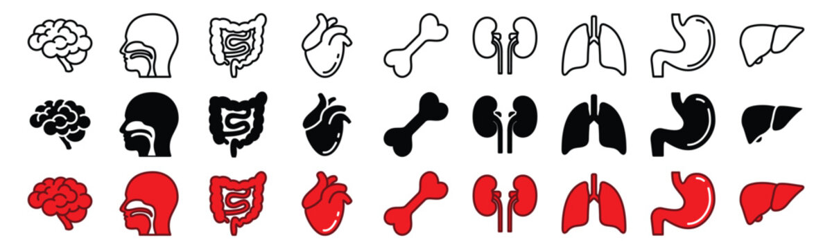 Human organs thin line icons set. Bone, brain, throat, intestine, hearth, kidney, lungs, stomach, liver icon symbol in line and flat style on white background. Vector illustration