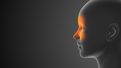 Sinus infection and nose pain	
