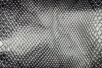 Close up of snake skin texture