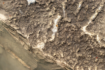 Close-up of rough, jagged rock surface with brown, gray, white and red colors - bottom left corner blurred. Taken in Toronto, Canada.