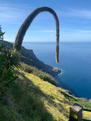Landscape with panoramic coast of Madeira.