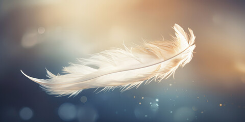 A dreamlike and angelic feather banner of tranquility and magic. The soft blue backdrop, backlit by the sun, creates an enchanting atmosphere of love and fantasy.