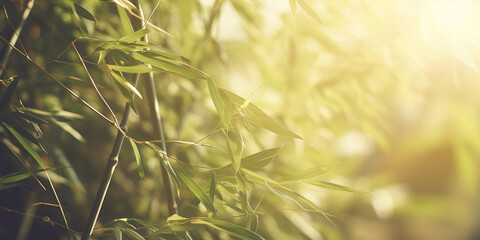 Young bamboo forest backdrop. The lush green leaves and delicate branches in captivating natural scene, illuminated by the warm summer sunlight. - Powered by Adobe