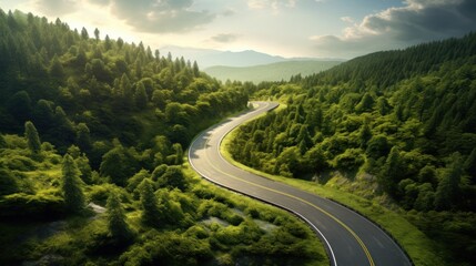 Winding road surrounded by trees, aerial view