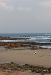 waves and walkers on the beach