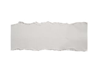 A piece of torn white paper