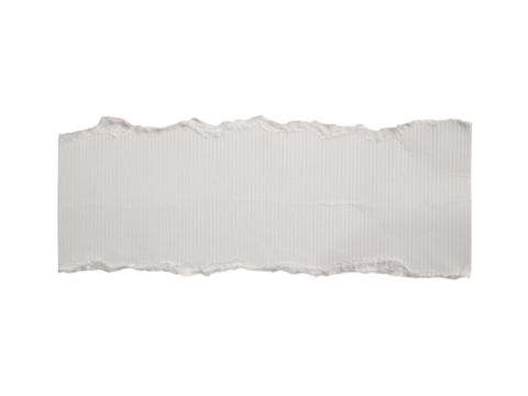 A piece of torn white paper