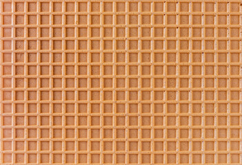 Spelt waffle with a grid pattern as background