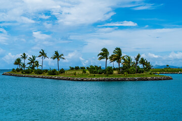 Palm Trees Bend with the Wind
