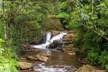 Waterfall river stream in green nature forest