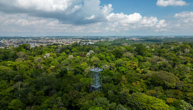 Torre de Observa&ccedil;&atilde;o do MUSA