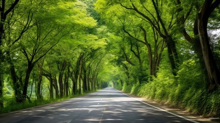 Obraz premium Path way through the autumnal forest natural way, road to the tropical forest field, relaxing with ecological environment, freedom lifestyle concept, Generative AI illustration