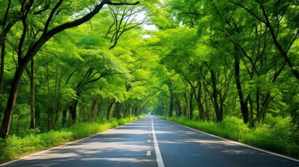 Obraz premium Path way through the autumnal forest natural way, road to the tropical forest field, relaxing with ecological environment, freedom lifestyle concept, Generative AI illustration